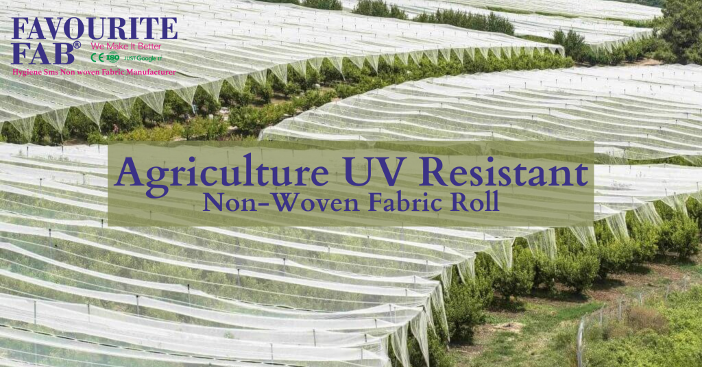 Agriculture UV Resistant Non-Woven Fabric Roll Manufacturer and Supplier